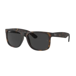 Ochelari de soare Barbati Ray-Ban RB4165 865/87 55