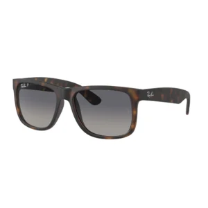 Ochelari de soare Barbati Ray-Ban RB4165 865/8S 55