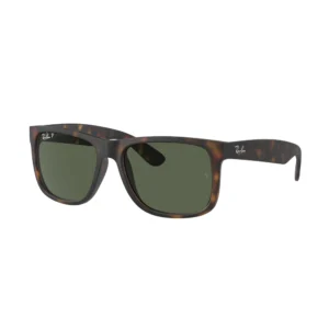 Ochelari de soare Barbati Ray-Ban RB4165 865/9A 55