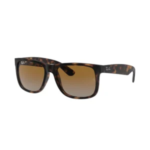 Ochelari de soare Barbati Ray-Ban RB4165 865/T5 55